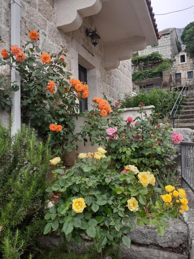 Vila Divna Podgora Buitenkant foto
